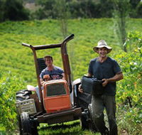 Kellybrook Winery  Kelly Brothers Cider - Accommodation VIC