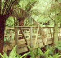 Mount Worth State Park - Accommodation VIC