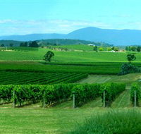 Acacia Ridge Vineyard - Accommodation VIC
