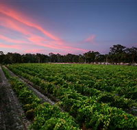 Amherst Winery - Accommodation VIC