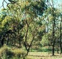 Leaghur State Park - Accommodation VIC