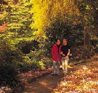 George Tindale Memorial Gardens - Accommodation VIC