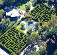 Ashcombe Maze  Lavender Gardens - Accommodation VIC