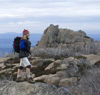 Mount Buffalo National Park - Accommodation VIC