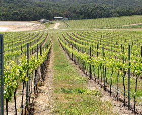 M Chapoutier Australia - Accommodation VIC 0