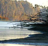 Barmah National Park - Accommodation VIC