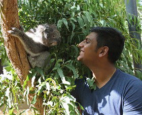 Healesville Sanctuary - Accommodation VIC 0