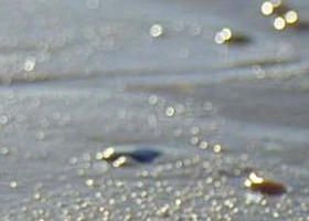 Walkerville South VIC Accommodation VIC