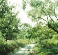 Holey Plains State Park - Accommodation VIC
