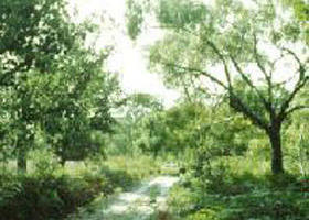Holey Plains State Park - Accommodation VIC 0