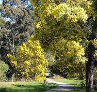 Wattle Park - Accommodation VIC