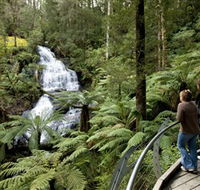 Great Otway National Park - Accommodation VIC
