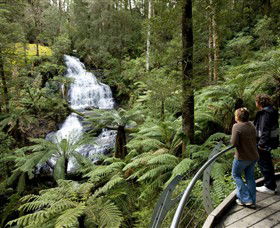 Great Otway National Park - Accommodation VIC 0