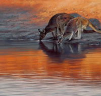 Steve Morvell Wildlife Art - Accommodation VIC