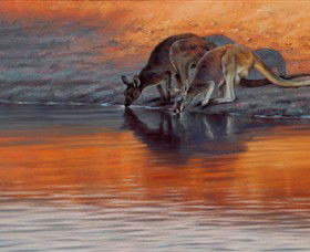 Steve Morvell Wildlife Art - Accommodation VIC 0