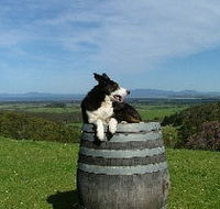Windy Ridge Vineyard and Winery - Accommodation VIC