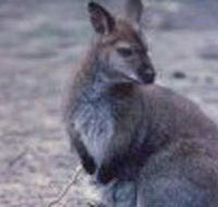 Churchill National Park - Accommodation VIC