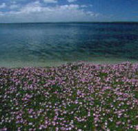 The Lakes National Park - Accommodation VIC