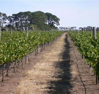 Mount Beckworth Wines