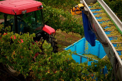 GREENSTONE VINEYARDS - Accommodation VIC 3
