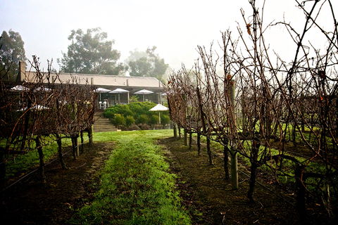 GREENSTONE VINEYARDS - Accommodation VIC 4