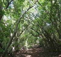 Eucalypt Trail - Accommodation VIC
