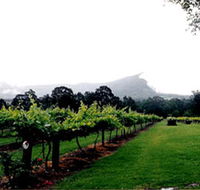 Cambewarra Estate Wines - Accommodation VIC