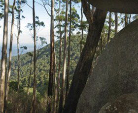 Gulaga National Park - Accommodation VIC 0