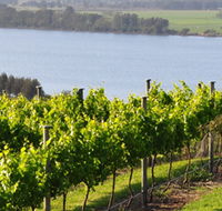 Two Figs Winery - Accommodation VIC