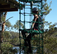 Trees Adventure Shoalhaven - Accommodation VIC