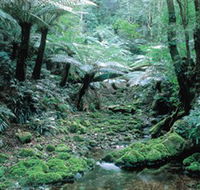 Deua National Park - Accommodation VIC
