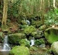 Budderoo National Park - Accommodation VIC