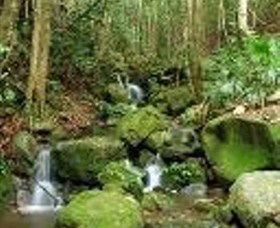 Budderoo National Park - Accommodation VIC 0