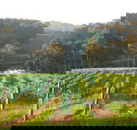 Tilba Valley Wines - Accommodation VIC