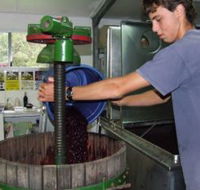 Fern Gully Winery - Accommodation VIC