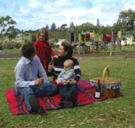 Blackbutt Forest Reserve - Accommodation VIC