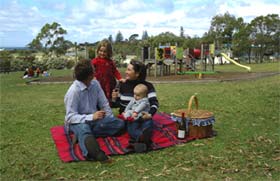 Blackbutt Forest Reserve - Accommodation VIC 0