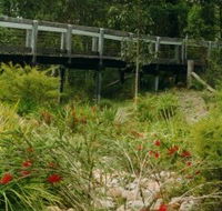 Eurobodalla Botanic Gardens - Accommodation VIC