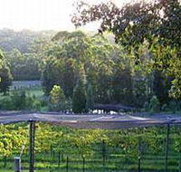 Lyrebird Ridge Organic Winery - Accommodation VIC