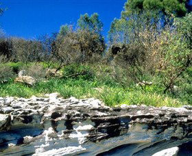 Abrahams Bosom Reserve - Accommodation VIC 0