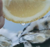 Pearly Oyster Bar and Farm - Accommodation VIC
