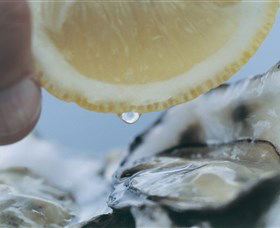 Pearly Oyster Bar And Farm - Accommodation VIC 0