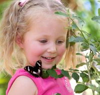 Coffs Harbour Butterfly House - Accommodation VIC