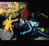 Solitary Islands Marine Park - Accommodation VIC