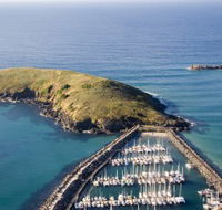 Muttonbird Island Nature Reserve - Accommodation VIC