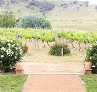 Brindabella Hills Winery - Accommodation VIC