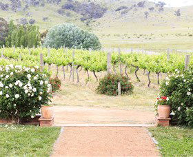 Brindabella Hills Winery - Accommodation VIC 0