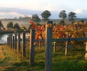 Roses Vineyard At Innes View - Accommodation VIC 2