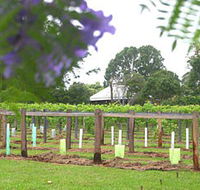 Douglas Vale Historic Homestead  Vineyard - Accommodation VIC