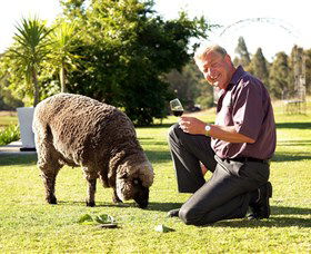 Moorebank Private Vineyard - Accommodation VIC 2